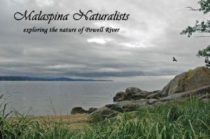 Malaspina Naturalists