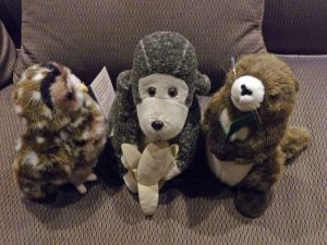 Jane's travelling companions - M. Lewis photo