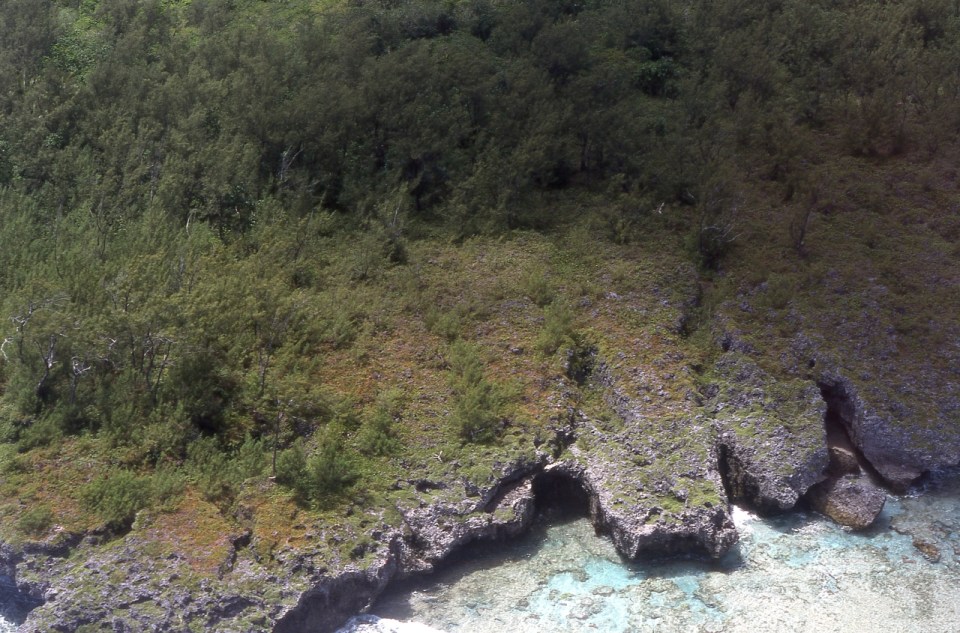 Makatea coastline, Atiu, Cook Islands, November 2000. © Andrew A Bryant