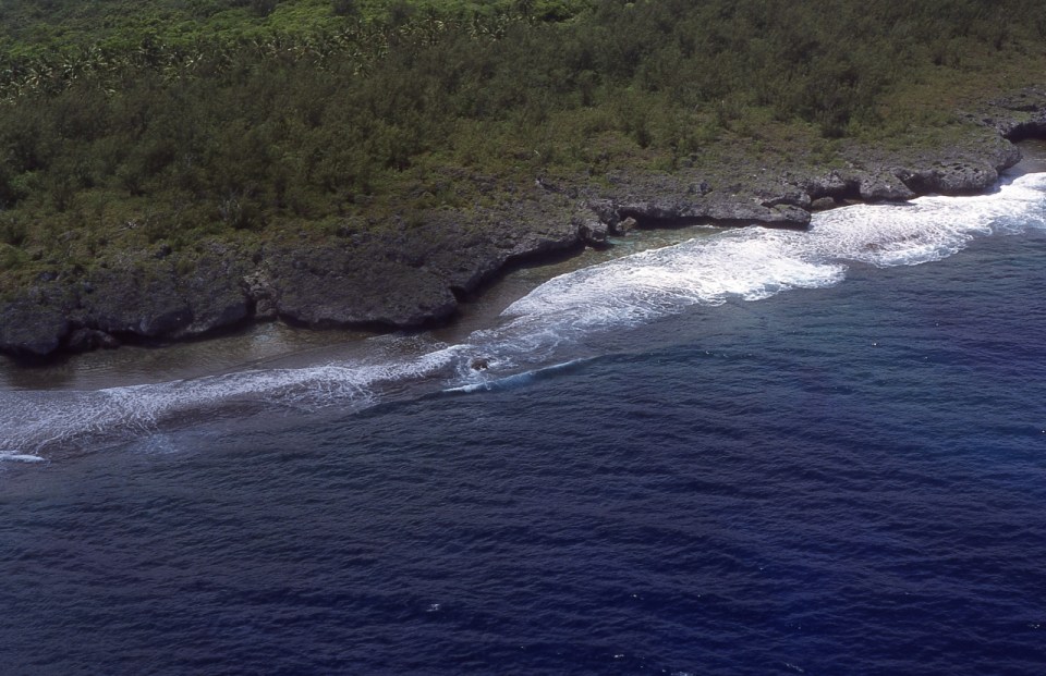 Makatea coastline, Atiu, Cook Islands, November 2000. © Andrew A Bryant