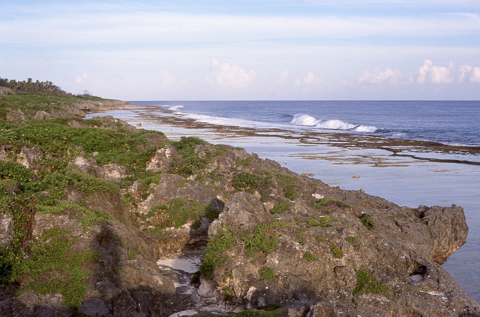 Atiu, Cook Islands, November 2000. © Andrew A Bryant