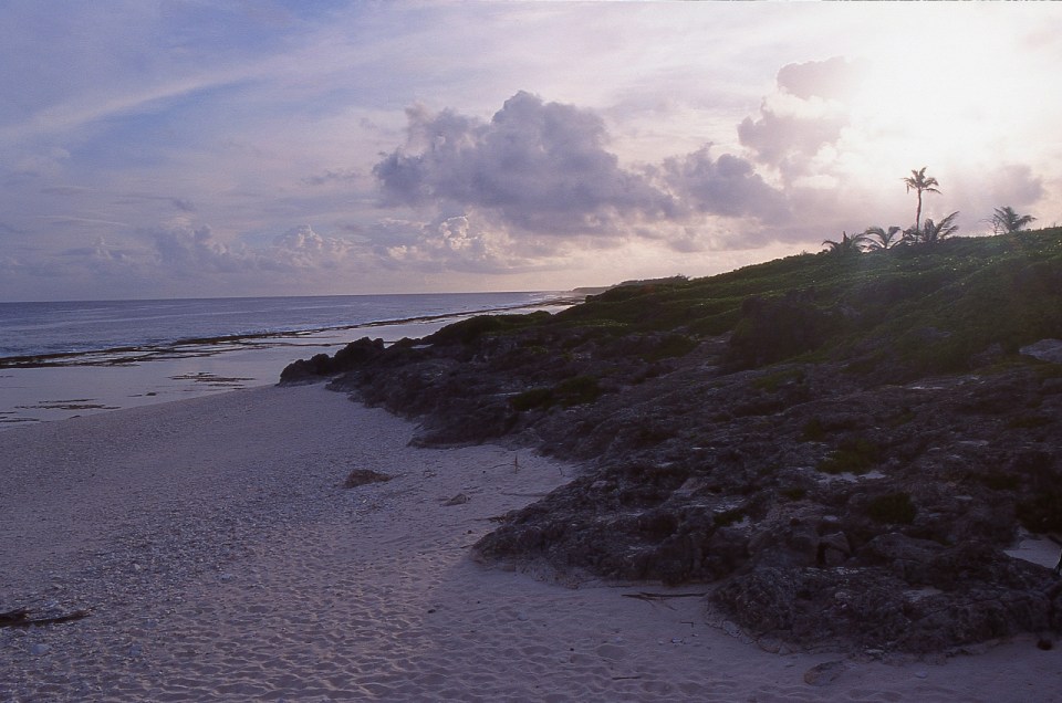 Atiu, Cook Islands, November 2000. © Andrew A Bryant
