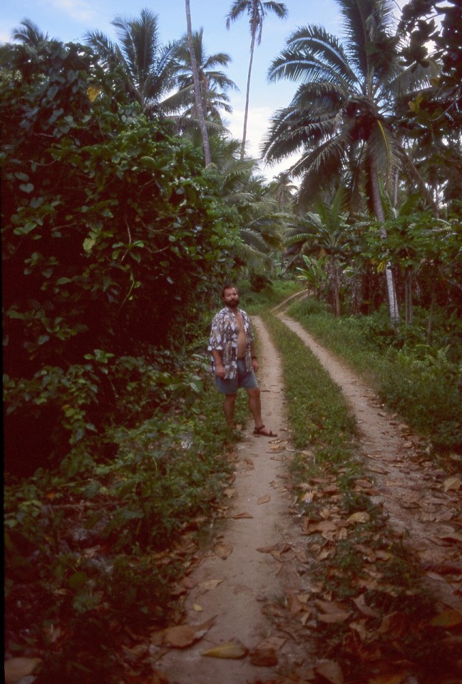 to Taungaroro Beach, Atiu, November 2000. © Andrew A. Bryant